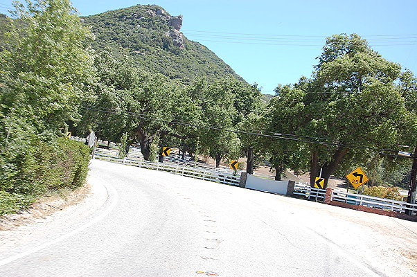 DSC 0950