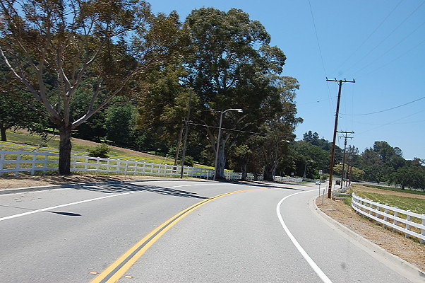 DSC 0828