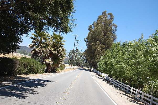 DSC 0955