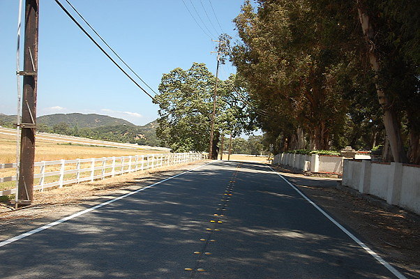 DSC 0956