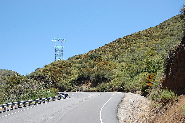 DSC 0393