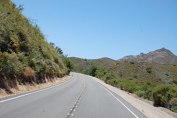 DSC 0464