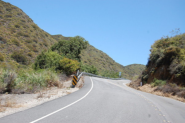 DSC 0391