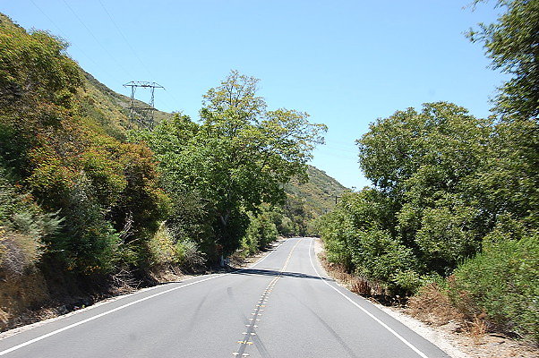 DSC 0476