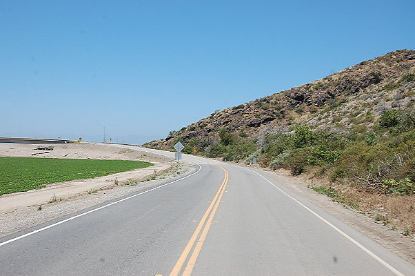 DSC 0503