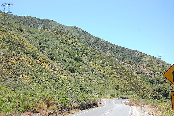 DSC 0461