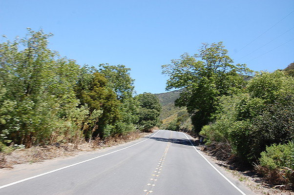 DSC 0374