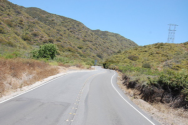 DSC 0388