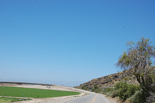 DSC 0502