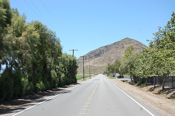DSC 0495