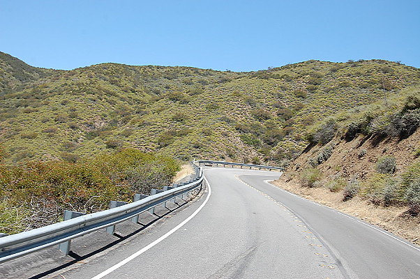 DSC 0401