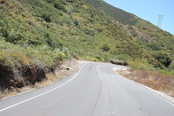 DSC 0462