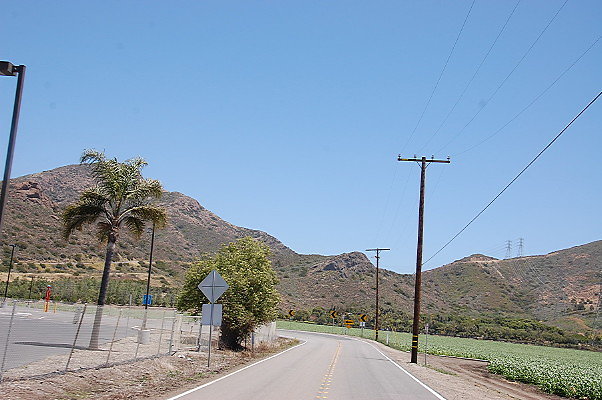 DSC 0353
