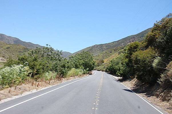 DSC 0375