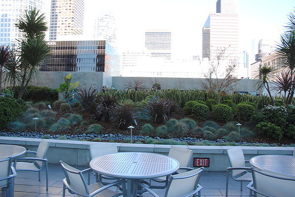 DSC 0393
