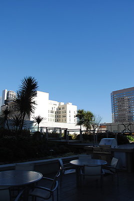 DSC 0397
