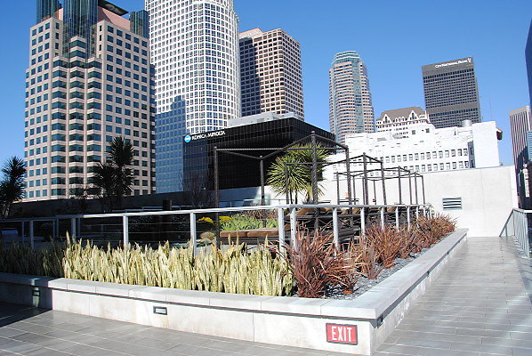 DSC 0410