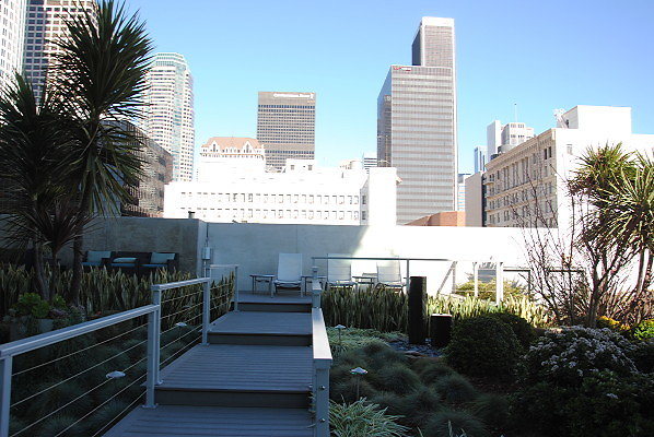 DSC 0401