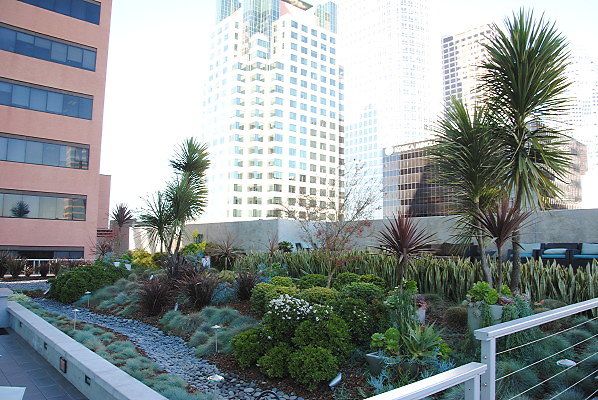 DSC 0400