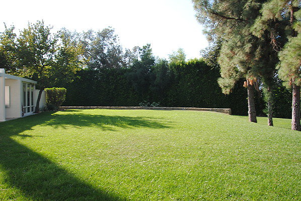 DSC 0198
