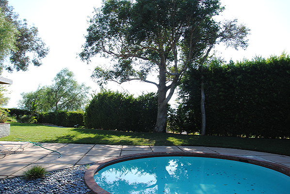 DSC 0185
