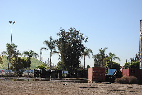 DSC 0406