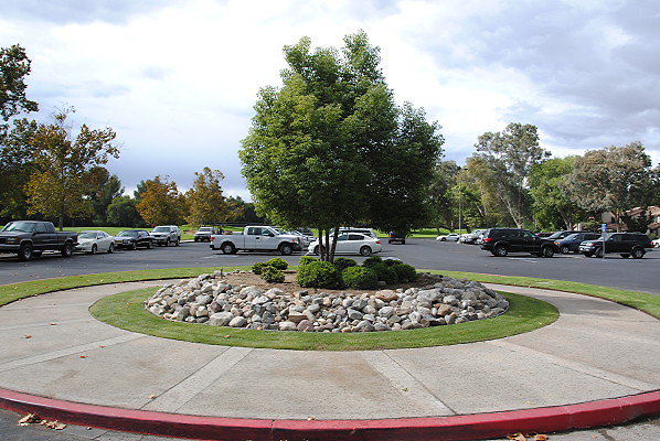 DSC 0601