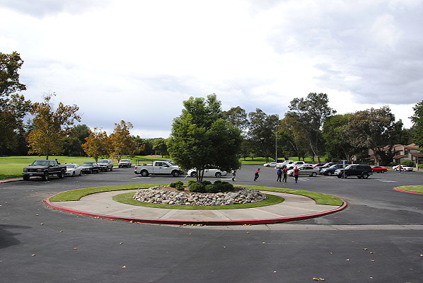 DSC 0607