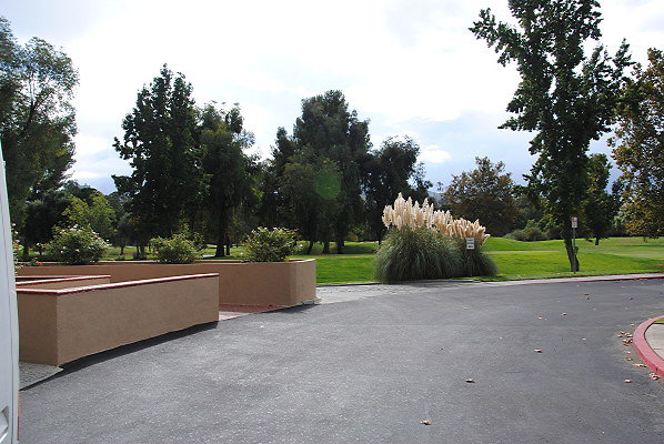 DSC 0600