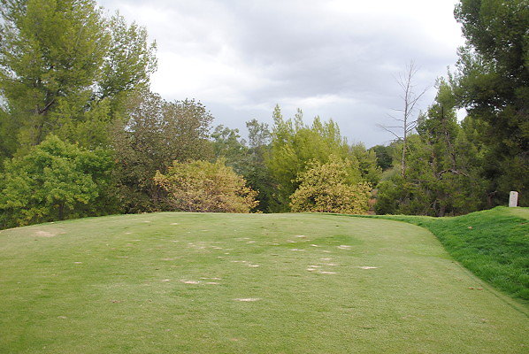 DSC 0064