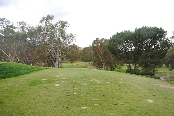 DSC 0067
