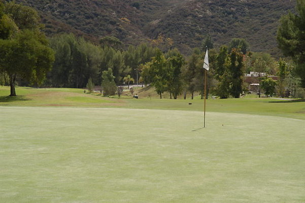 1 Green