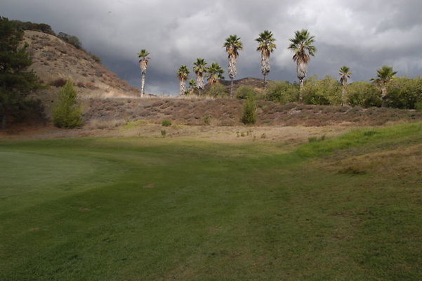 Malibu CC 2 Green.03 Malibu CC 2 Green.03