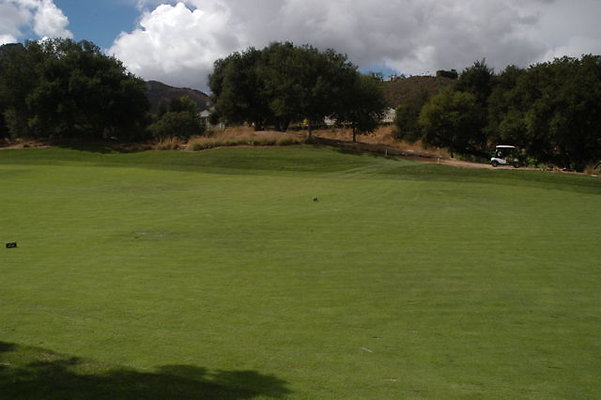 Sherwood CC 18 Fairway.05