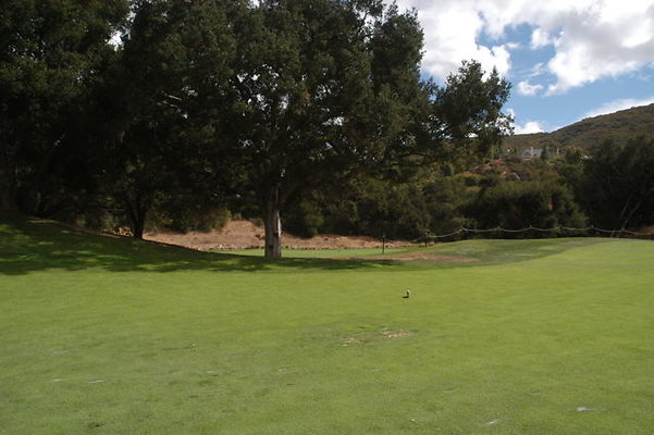 Sherwood CC 18 Fairway.07