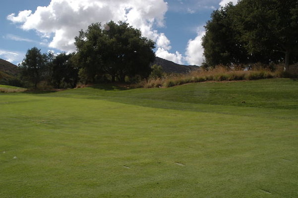 Sherwood CC 18 Fairway.09