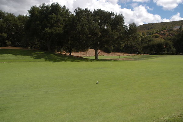 Sherwood CC 18 Fairway.02