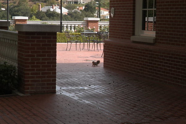 Sherwood CC MiscExt.07 Sherwood CC MiscExt.07