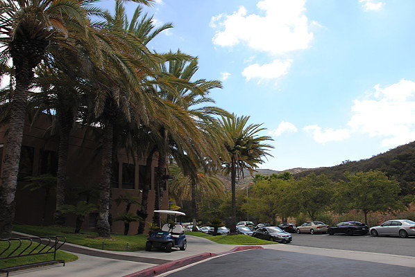 DSC 0075