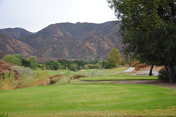 DSC 0212