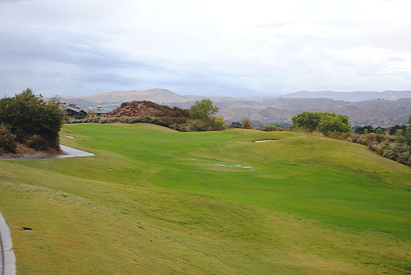 DSC 0217