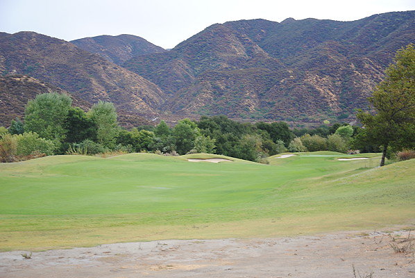 DSC 0207
