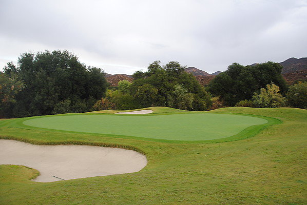 DSC 0220