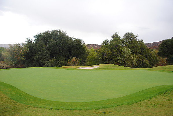 DSC 0228