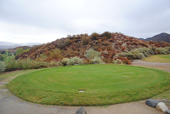 DSC 0204