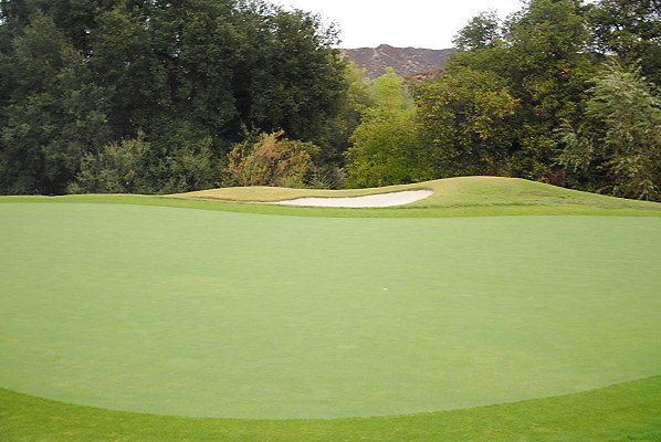 DSC 0225