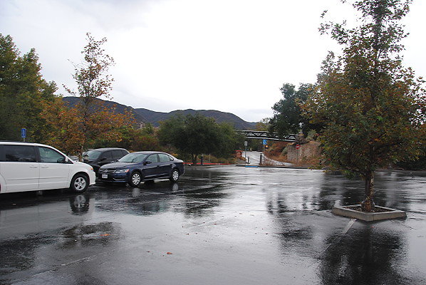 DSC 0139