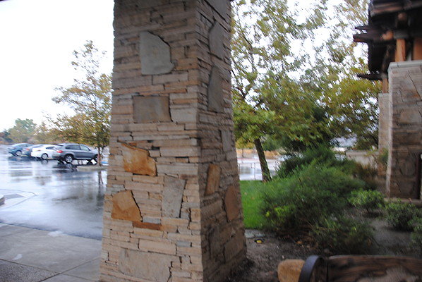DSC 0151