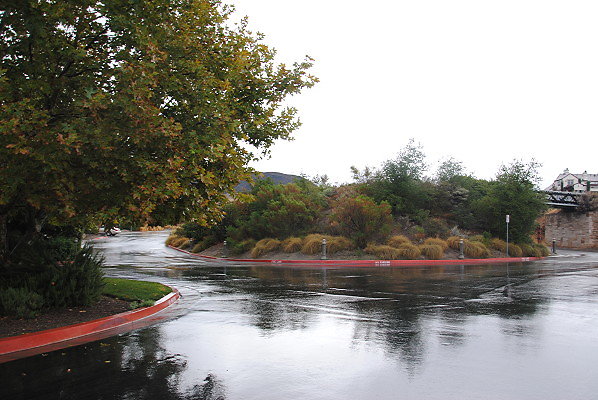 DSC 0142