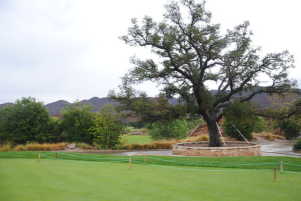 DSC 0182